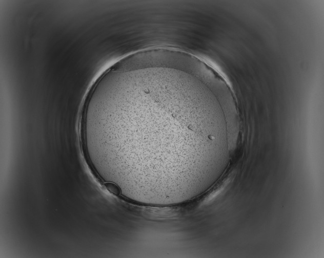 X0000086971007200705071353