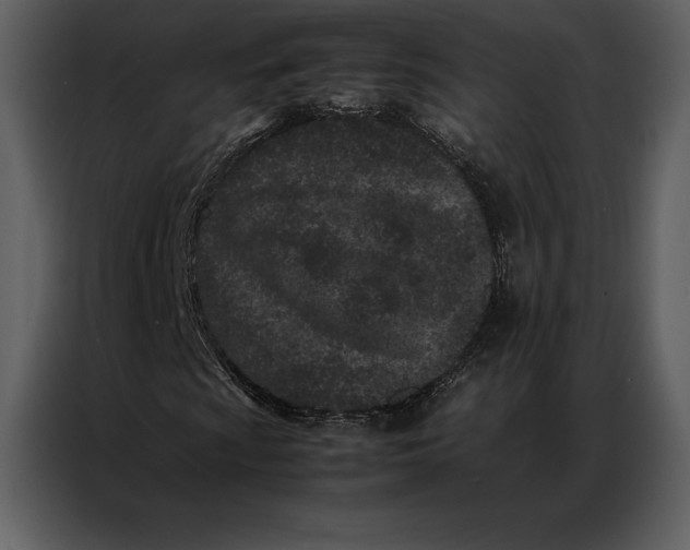 X0000086971009200705071352