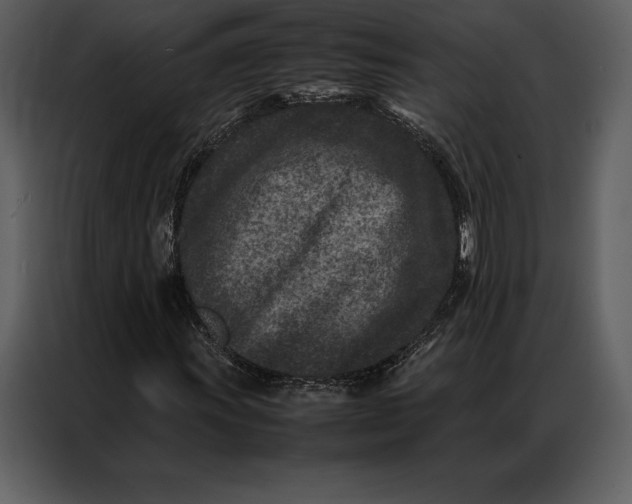 X0000086971011200705071352