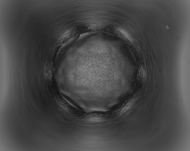 X0000086971012200705071352