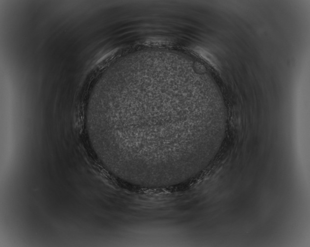 X0000086971015200705071352