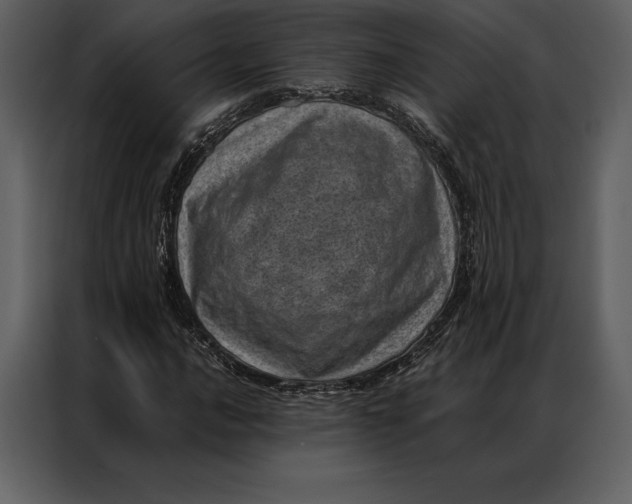 X0000086971016200705071352