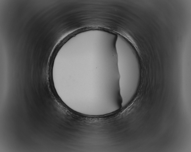 X0000086971020200705071352