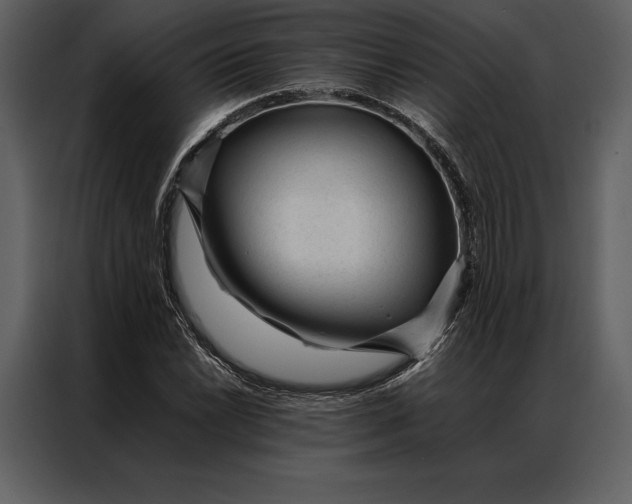 X0000086971022200705071352