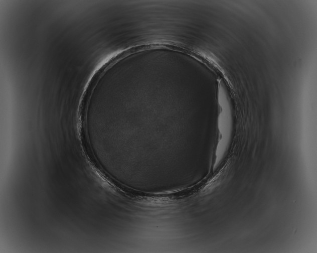 X0000086971024200705071352