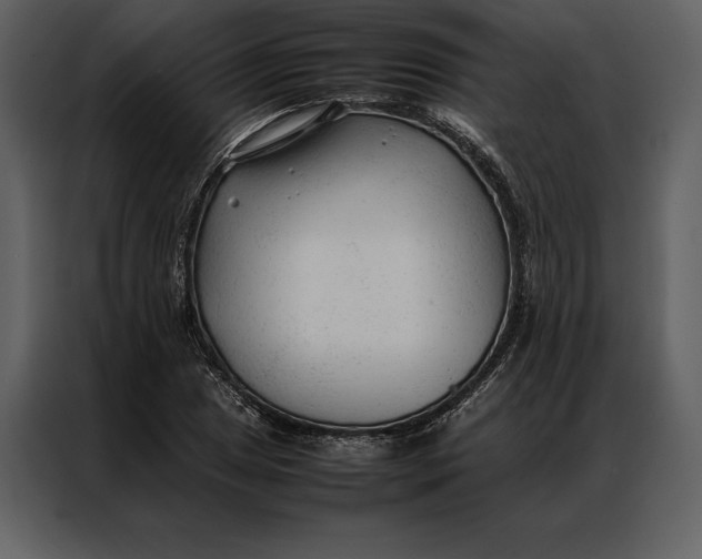 X0000086971025200705071352