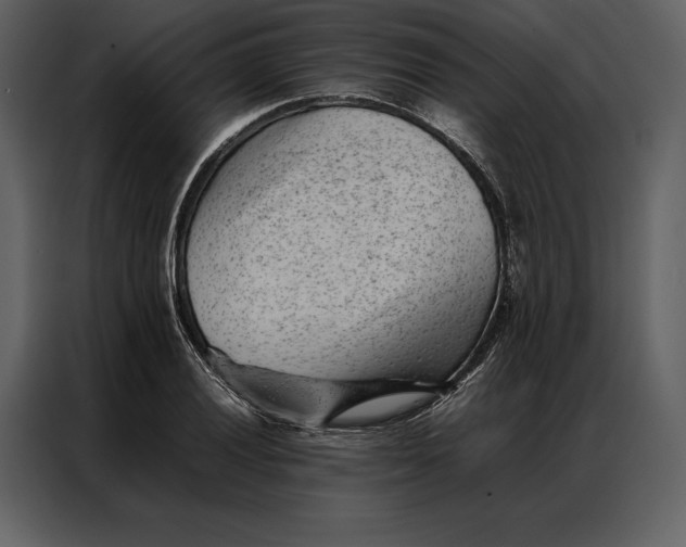 X0000086971028200705071352