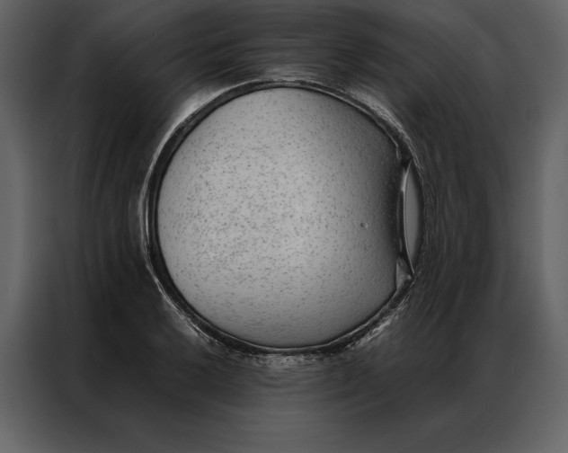 X0000086971032200705071352