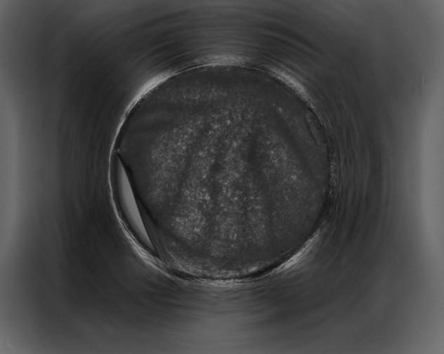 X0000086971034200705071352