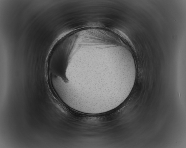 X0000086971035200705071352