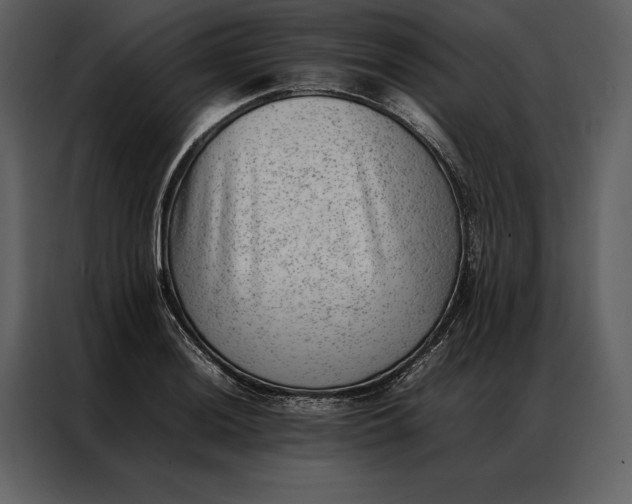 X0000086971036200705071352