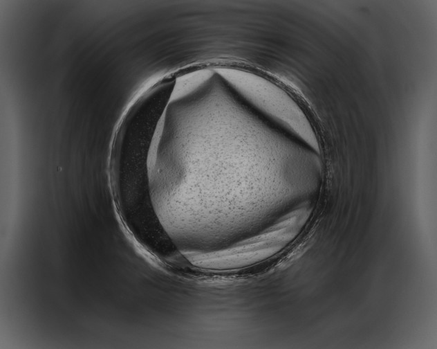 X0000086971038200705071352