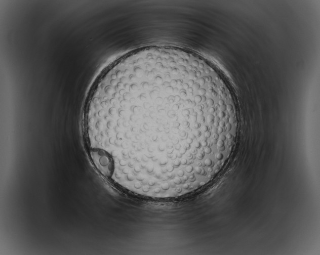 X0000086971040200705071352