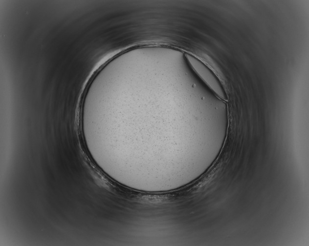 X0000086971044200705071353