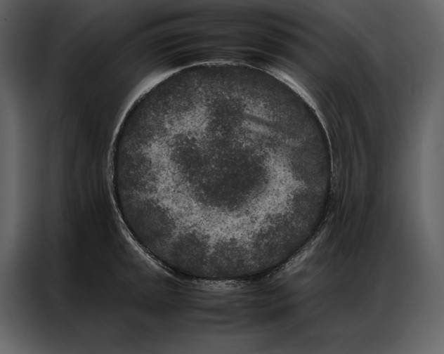 X0000086971045200705071353