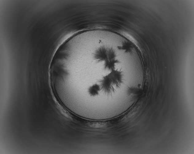 X0000086971047200705071353