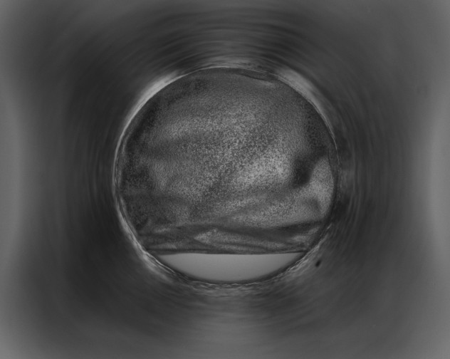 X0000086971050200705071353