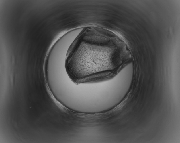 X0000086971054200705071353