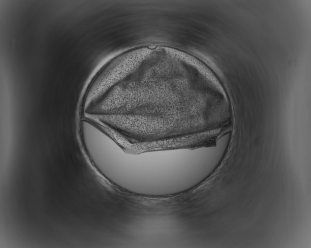 X0000086971056200705071353