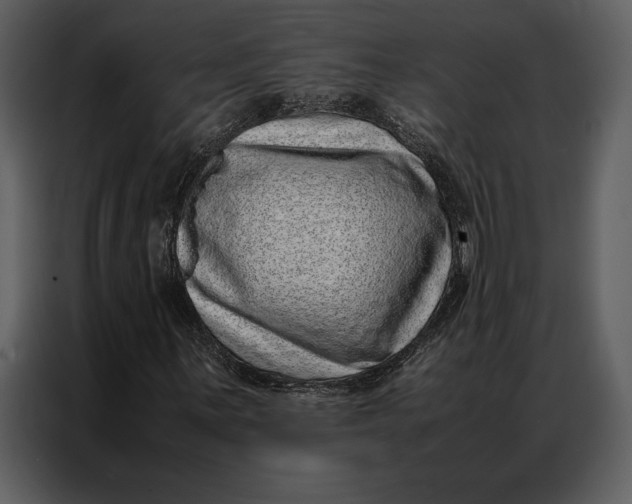 X0000086971059200705071352