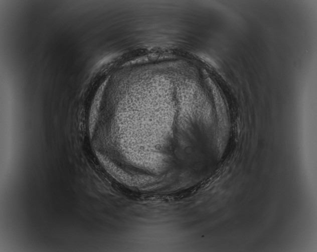 X0000086971063200705071352