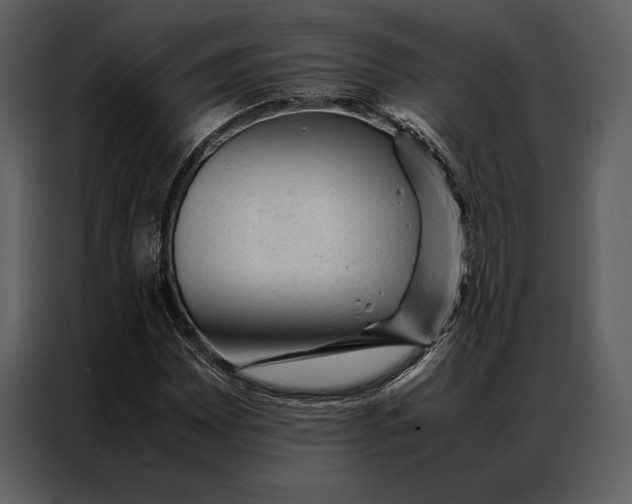 X0000086971065200705071352