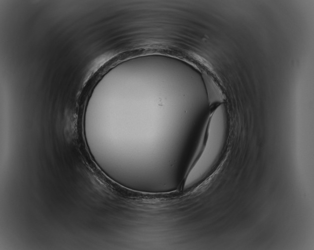 X0000086971066200705071352