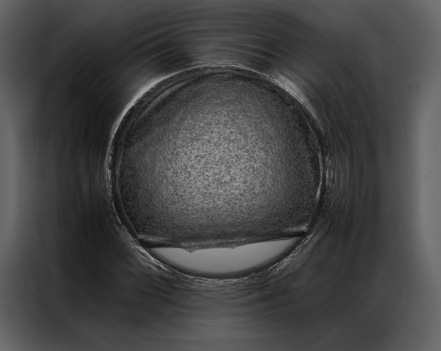 X0000086971068200705071352