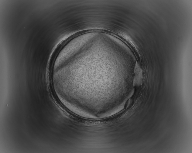 X0000086971072200705071352