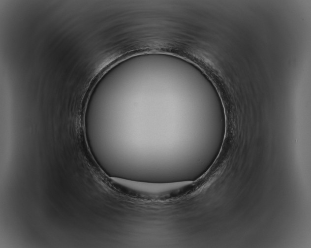 X0000086971073200705071352