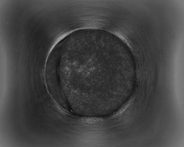 X0000086971077200705071352