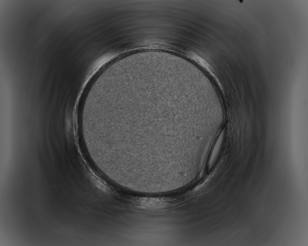 X0000086971082200705071352