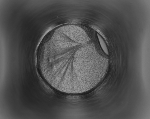 X0000086971083200705071352