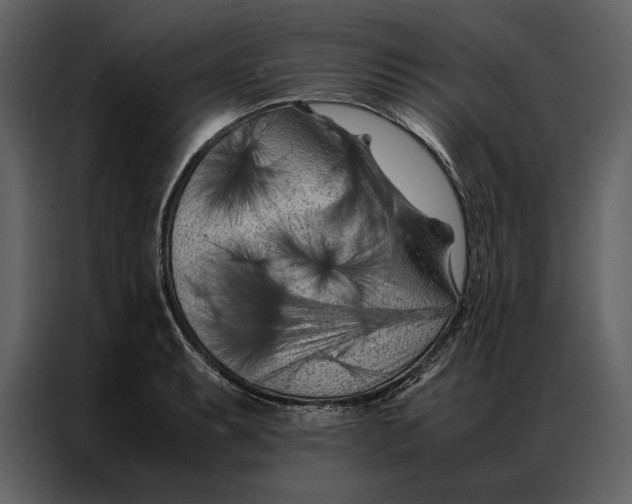 X0000086971087200705071352