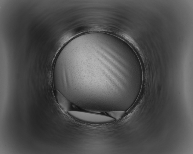 X0000086971089200705071352