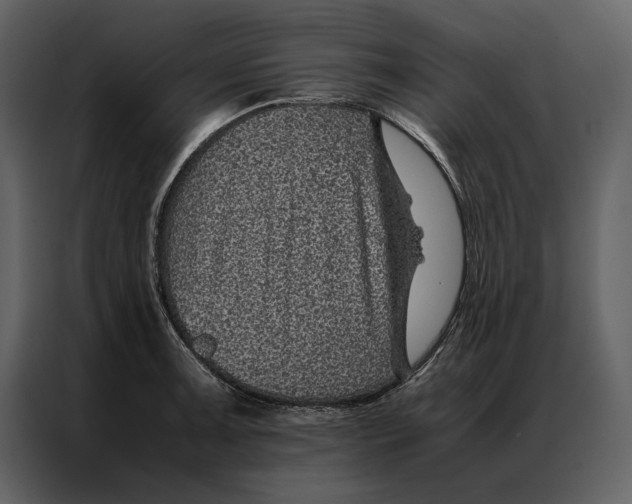 X0000086971091200705071352