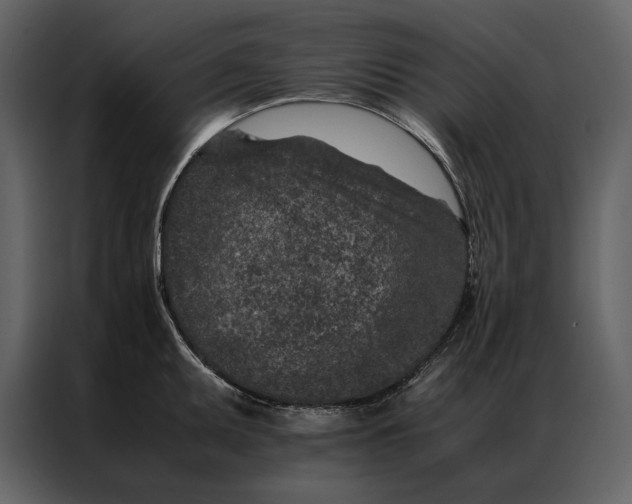 X0000086971095200705071352