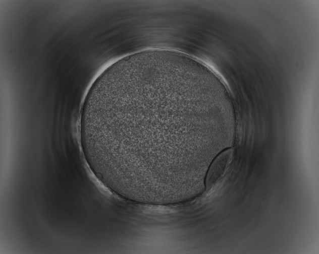 X0000086971100200705071352