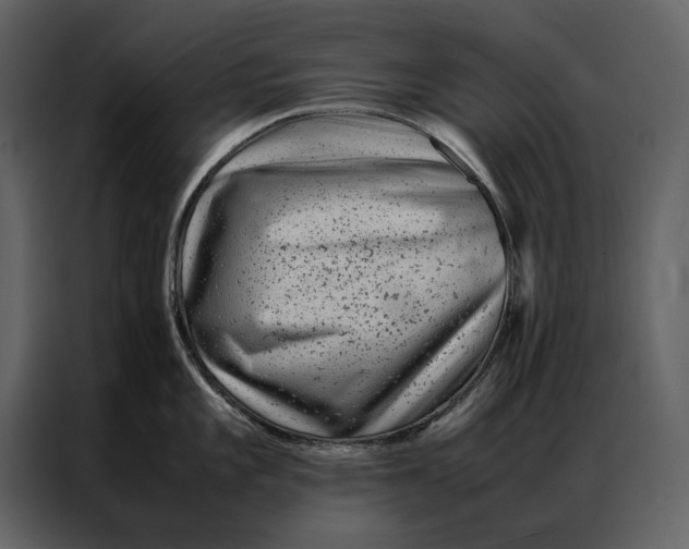 X0000086971101200705071351