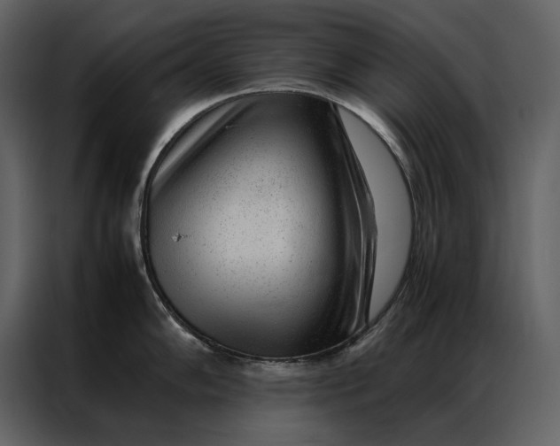 X0000086971102200705071351