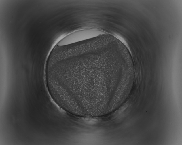 X0000086971103200705071351