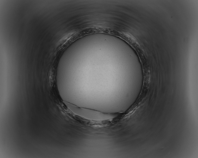 X0000086971110200705071351