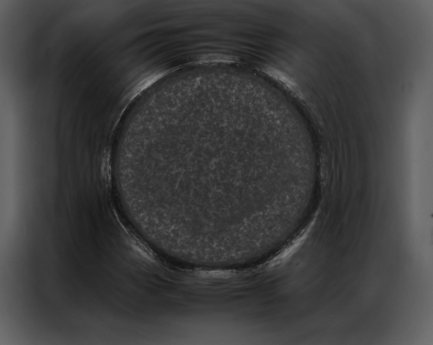 X0000086971113200705071351