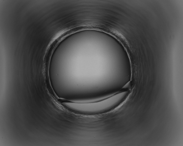 X0000086971114200705071351