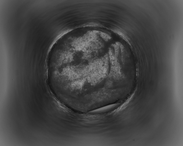 X0000086971117200705071351