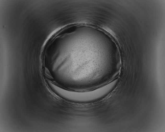 X0000086971120200705071351