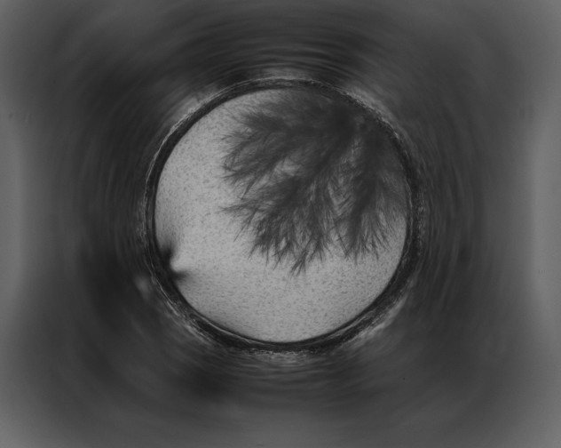 X0000086971121200705071351