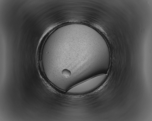 X0000086971122200705071351