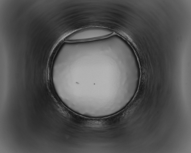 X0000086971125200705071351