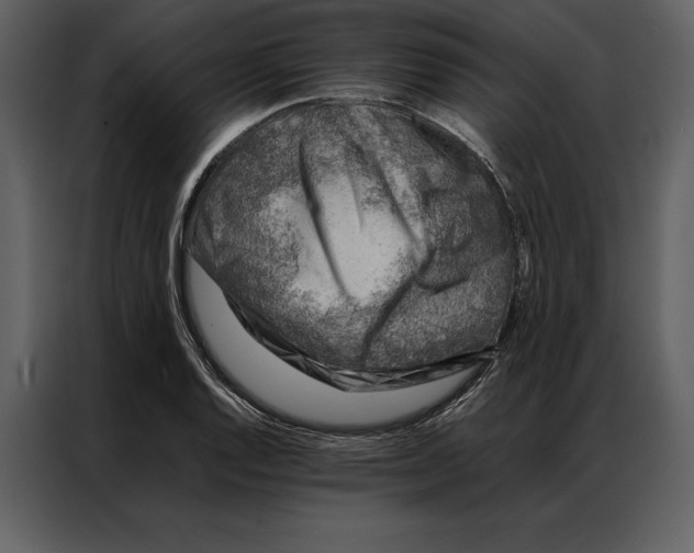 X0000086971128200705071351